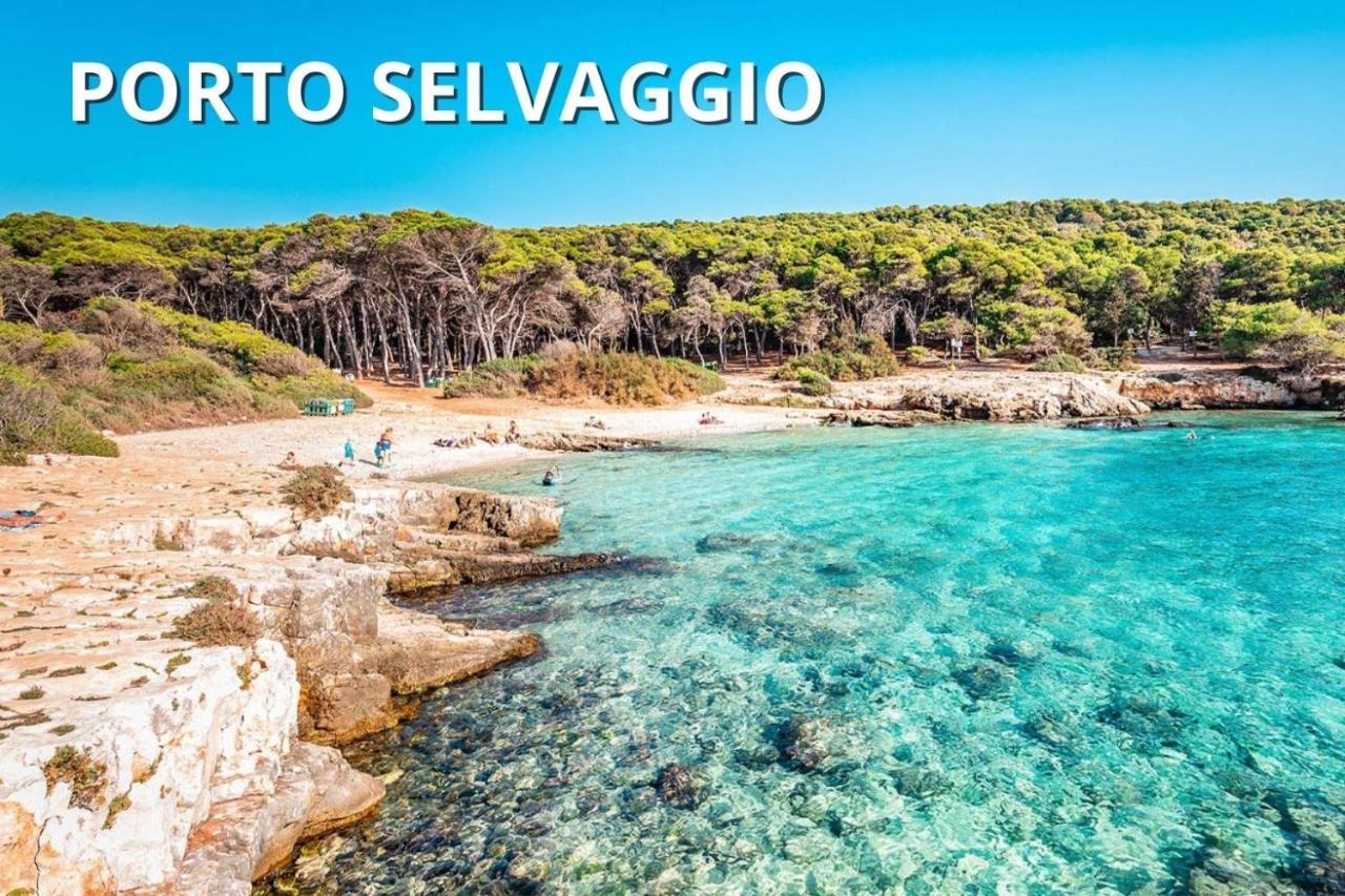 Delfino - Ampio Appartamento A 40 Metri Dalla Spiaggia Lido Conchiglia Eksteriør bilde