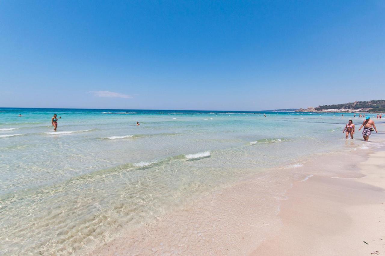 Delfino - Ampio Appartamento A 40 Metri Dalla Spiaggia Lido Conchiglia Eksteriør bilde