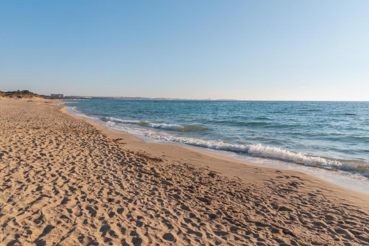 Delfino - Ampio Appartamento A 40 Metri Dalla Spiaggia Lido Conchiglia Eksteriør bilde